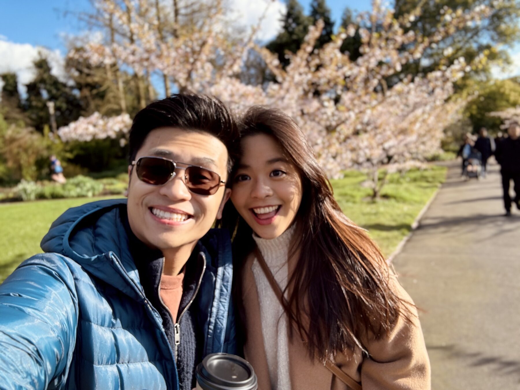 Cherry blossoms in Regent's Park